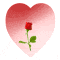 flowerinheart.gif