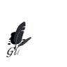 guestbook.gif